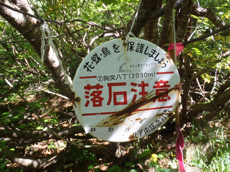c0147398_2191142.jpg