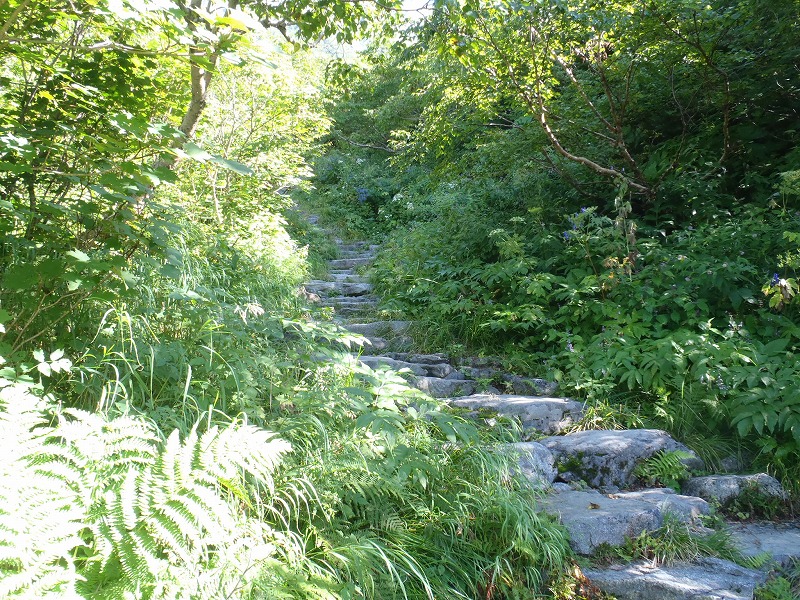 c0147398_219432.jpg