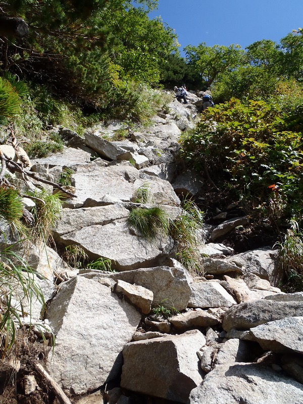 c0147398_2205656.jpg