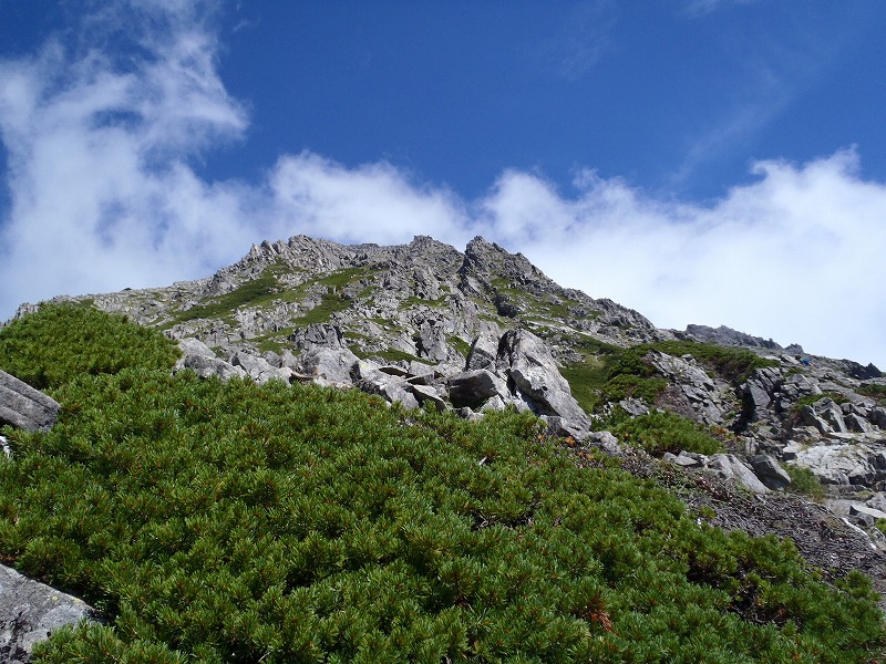 c0147398_2212366.jpg