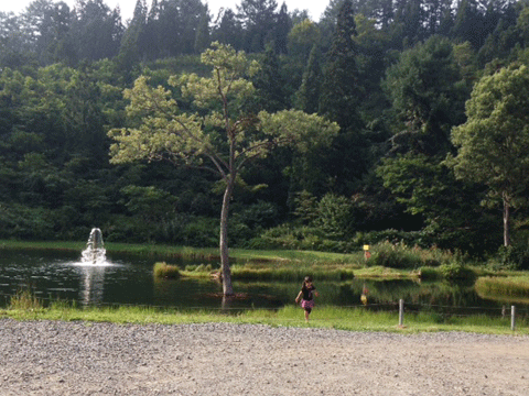 b0162000_6452681.gif