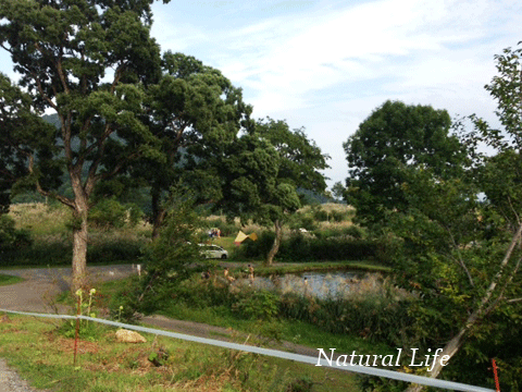 b0162000_6473337.gif