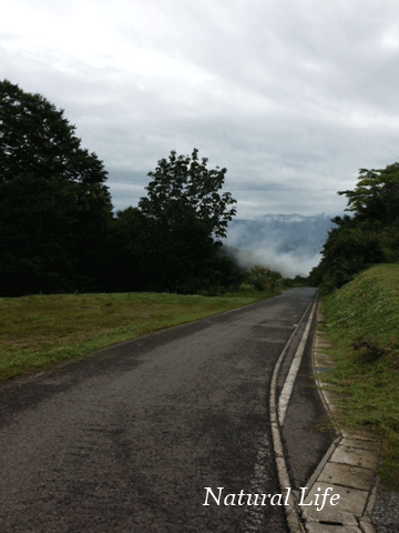 b0162000_6561628.gif