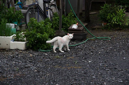 f0239100_23415151.jpg
