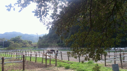 b0187620_2102279.jpg