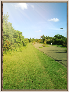 a0272721_1281788.png