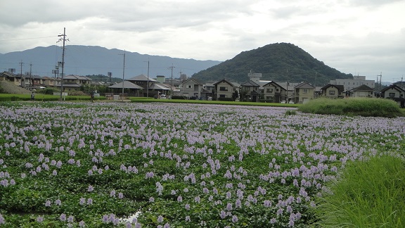 二人のカメラマン　　２０１３・９・１６_f0000521_2581564.jpg