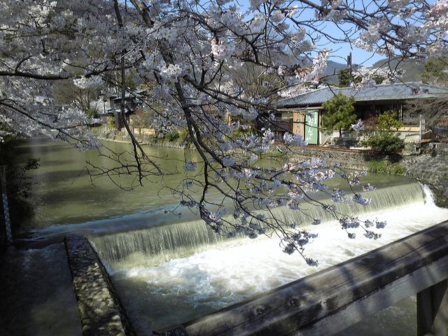 c0280322_11514473.jpg