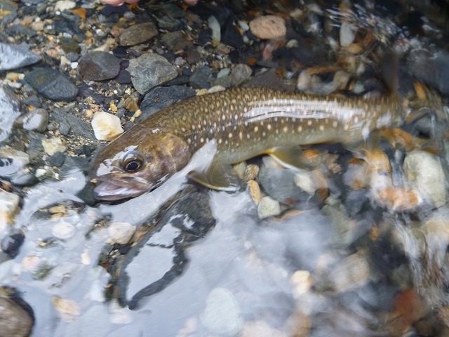 d0227723_13275455.jpg