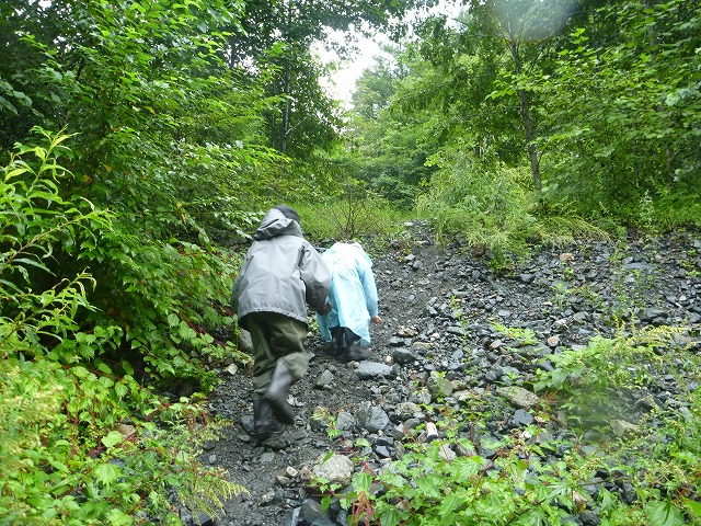 d0227723_13281429.jpg