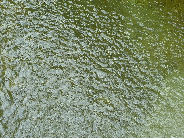 d0227723_14283417.jpg