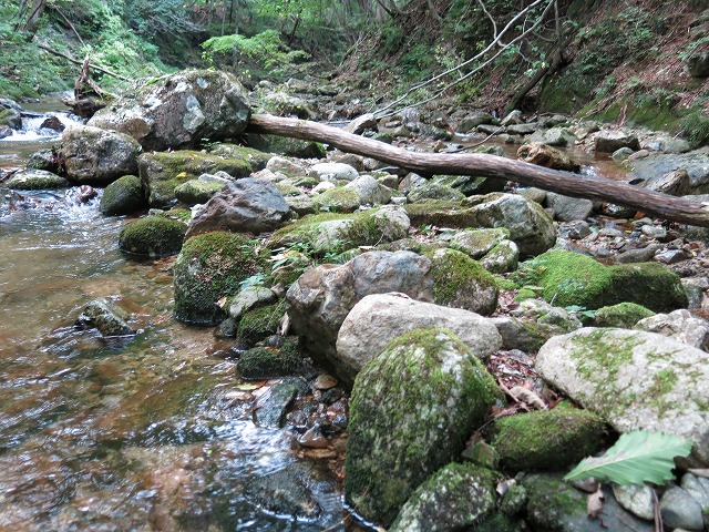 d0227723_14364818.jpg