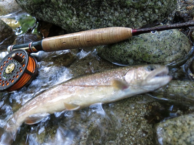 d0227723_14371250.jpg