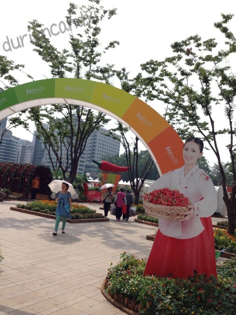 b0028524_8304234.jpg