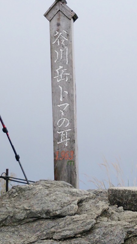 f0100825_912510.jpg