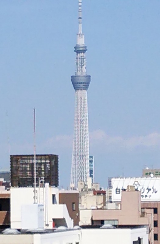 f0100825_915080.jpg