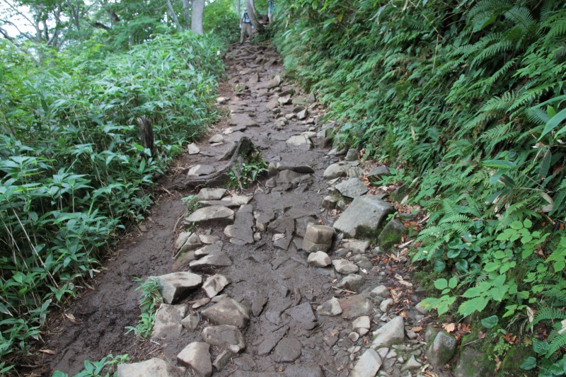 f0100825_981738.jpg
