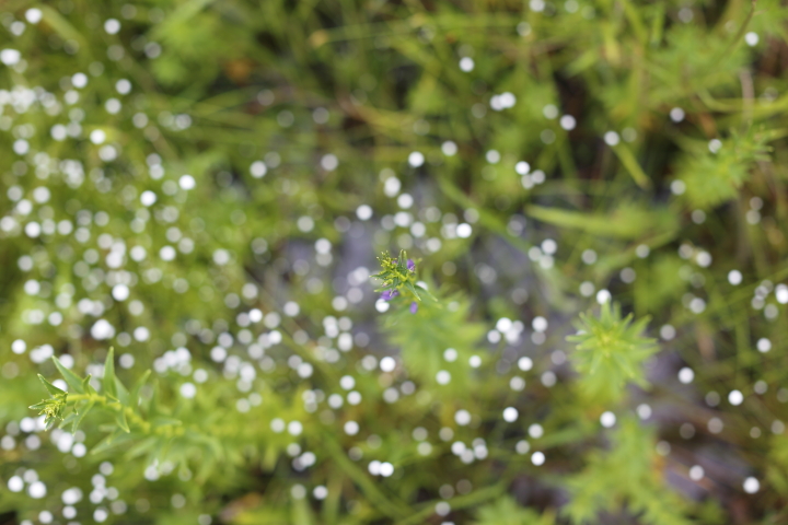 STANDARDⅢ　【東山動植物園】_f0253927_16593164.jpg