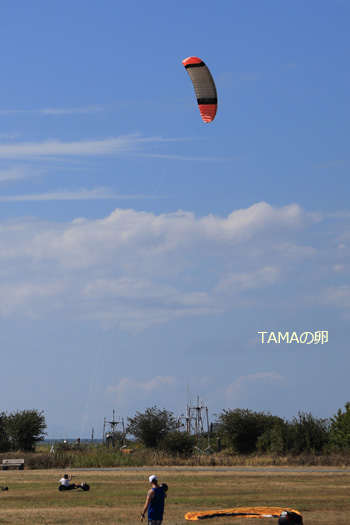 c0024729_1358214.jpg