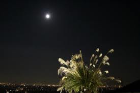 月見 \'\'moon viewing\'\'_c0215031_19172484.jpg