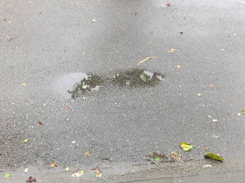台風襲来....パソコン異常!(gat-user-id.jp)_b0137932_9401468.jpg