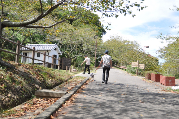 ルゥとMacの館山旅行～帰る日のこと_e0244833_19542939.jpg