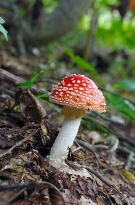 f0108133_1034827.jpg