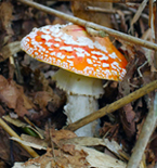 f0108133_13212428.jpg