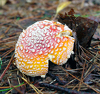 f0108133_13213460.jpg
