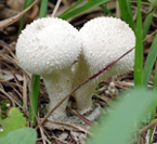 f0108133_13242870.jpg