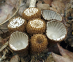 f0108133_1324568.jpg