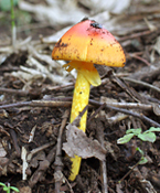 f0108133_13285089.jpg