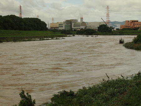 台風１８号の猛威_d0024438_12443594.jpg