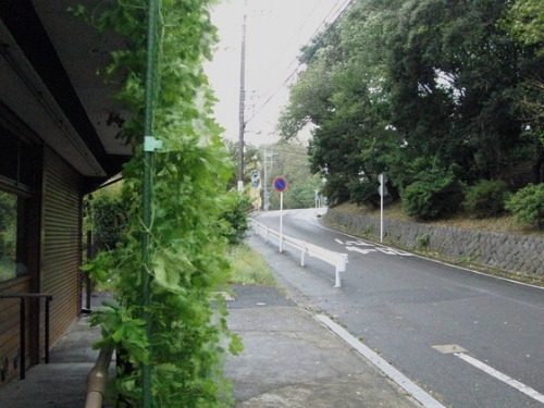 2013 敬老の日_e0222340_1714795.jpg