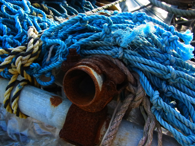 a0087341_19102977.jpg