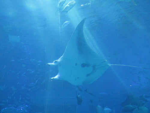 a0196148_1923154.jpg