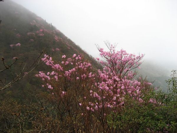 愛媛県の山に登ってきました_b0301550_1874192.jpg