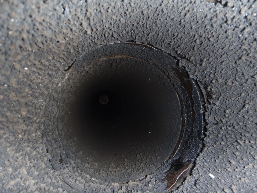 d0157955_1983755.jpg