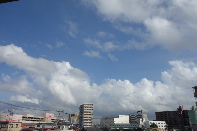 b0270060_712871.jpg