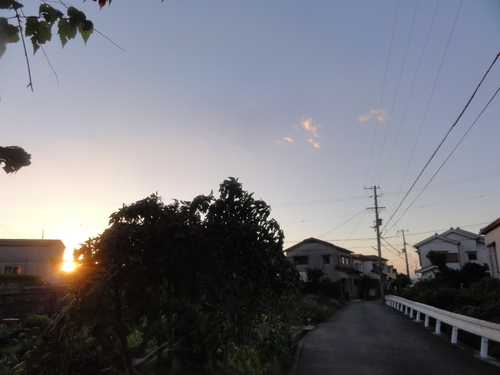 １８号台風一過・・・畑は？_c0108460_205358.jpg