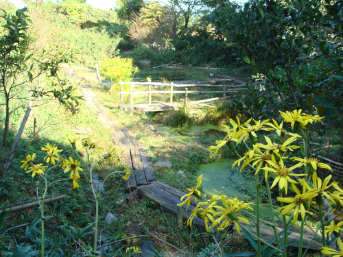 c0108460_244817.jpg