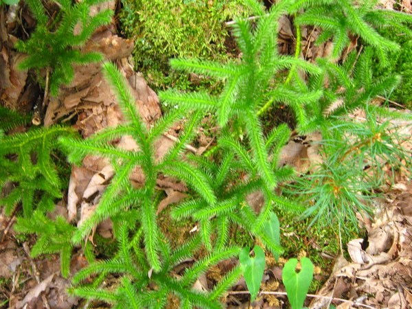 b0241761_954111.jpg