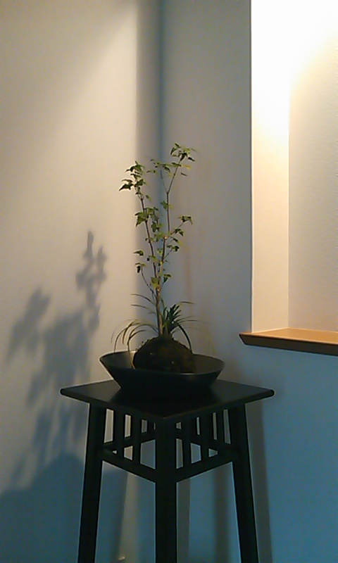 b0242064_7135489.jpg