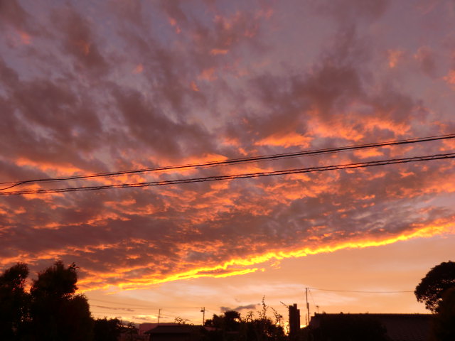 a0134568_17584141.jpg