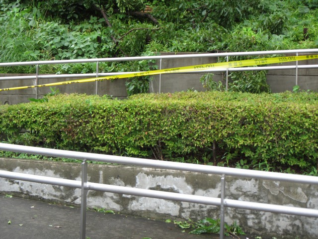 a0188771_2052770.jpg