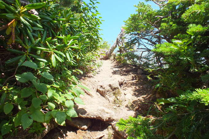 TOP OF AKADAKE!_a0040879_11394689.jpg