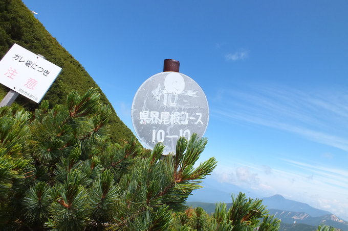 TOP OF AKADAKE!_a0040879_11575629.jpg