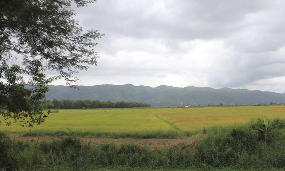 d0084580_13154697.jpg