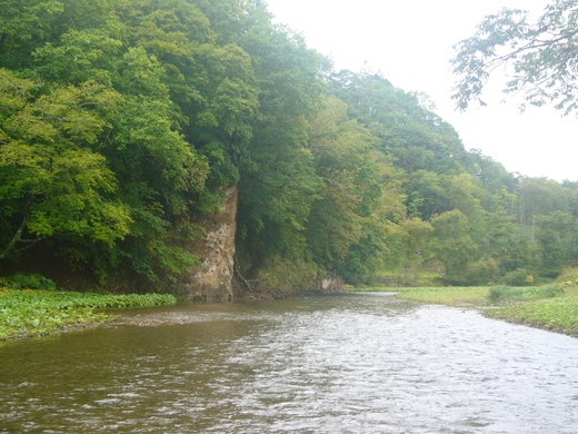 a0118989_2315745.jpg