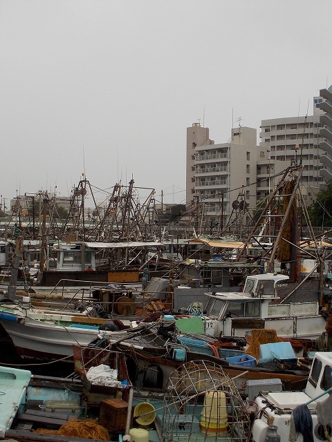 台風_d0268290_1747262.jpg